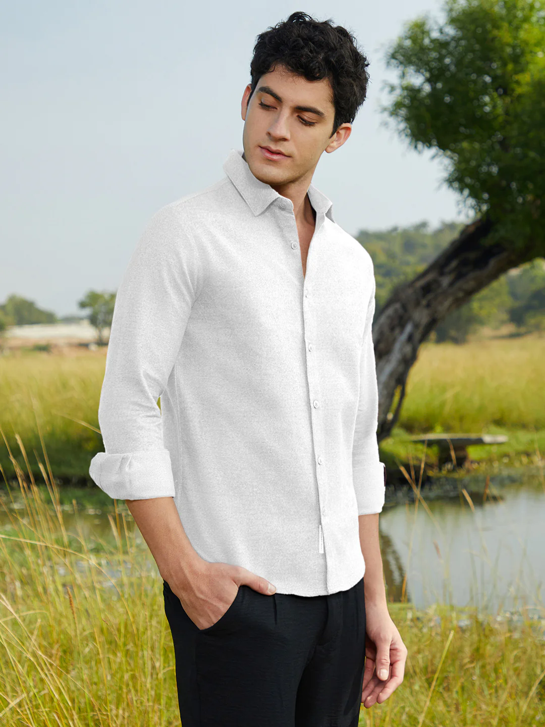 Solid Regular Shirt - Image 10